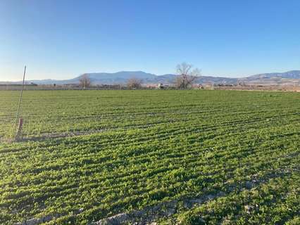 Parcela rústica en venta en Pinos Puente