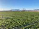 Parcela rústica en venta en Pinos Puente