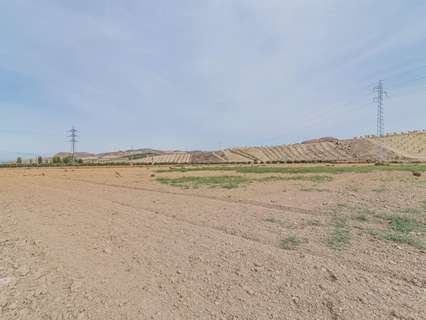 Parcela rústica en venta en La Malahá