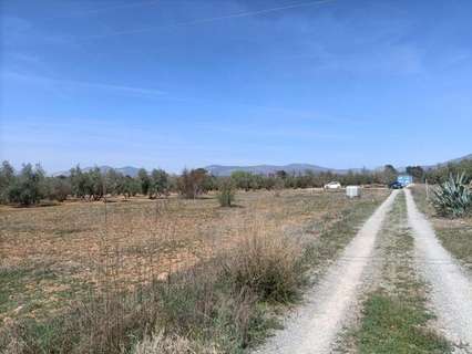 Parcela rústica en venta en Albolote