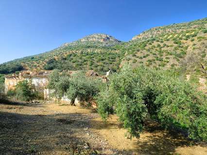 Parcela rústica en venta en Algarinejo