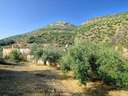 Parcela rústica en venta en Algarinejo