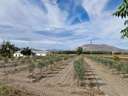 Parcela rústica en venta en Santa Fe