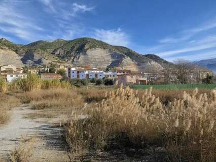 Parcela rústica en venta en Padul