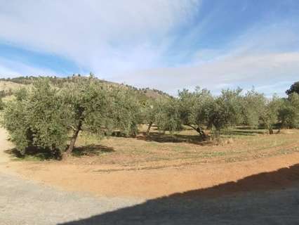 Parcela rústica en venta en Albolote