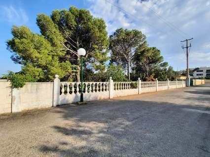 Parcela rústica en venta en Alcanar