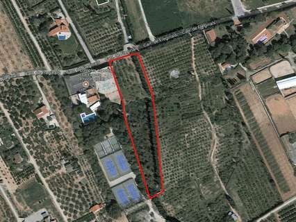 Parcela rústica en venta en Amposta