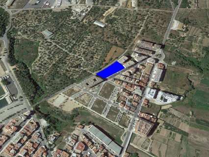 Parcela rústica en venta en Sant Carles de la Ràpita