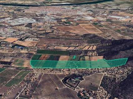 Parcela rústica en venta en Amposta