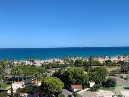 Loft en venta en Alicante