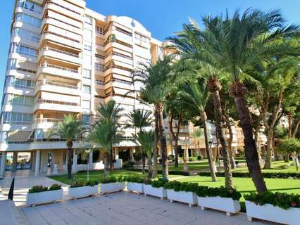 Piso en alquiler en Alicante