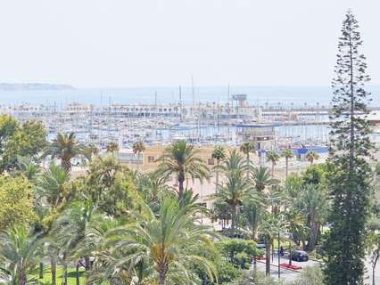 Piso en alquiler en Alicante