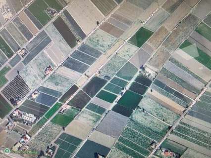 Parcela rústica en venta en San Fulgencio