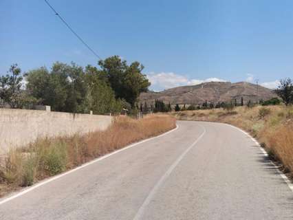 Parcela rústica en venta en Sant Vicent del Raspeig