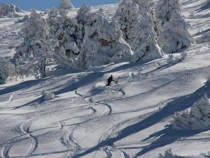 Parcela urbana en venta en Camarena de la Sierra