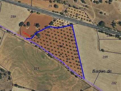 Parcela rústica en venta en Villar del Olmo