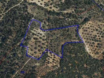 Parcela rústica en venta en Villar del Olmo