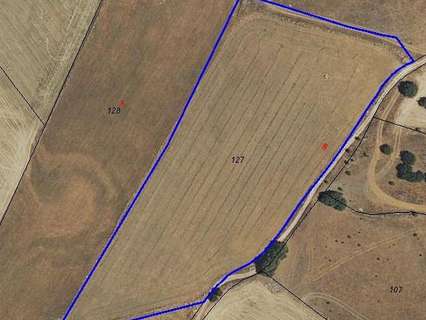 Parcela rústica en venta en Villar del Olmo