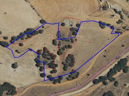 Parcela rústica en venta en Villar del Olmo