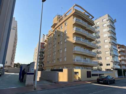 Apartamento en alquiler en Guardamar del Segura