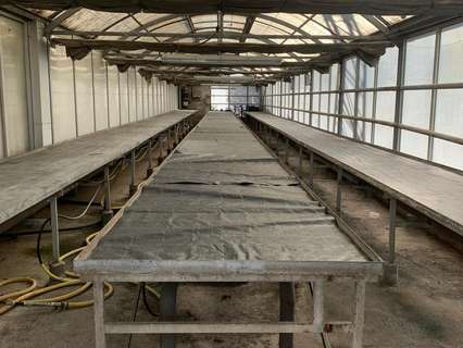 Nave industrial en venta en Alcalá de Henares