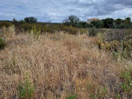 Parcela rústica en venta en Badajoz