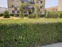 Piso en alquiler en Badajoz