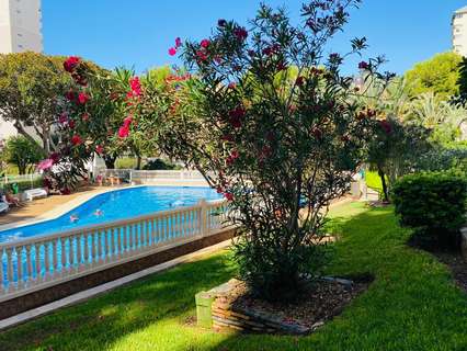 Apartamento en venta en Benidorm