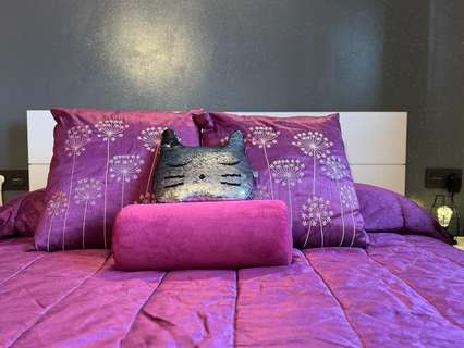 Piso en venta en Sant Antoni de Vilamajor