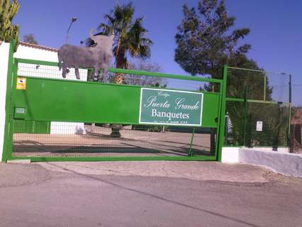 Local comercial en venta en Molina de Segura rebajado