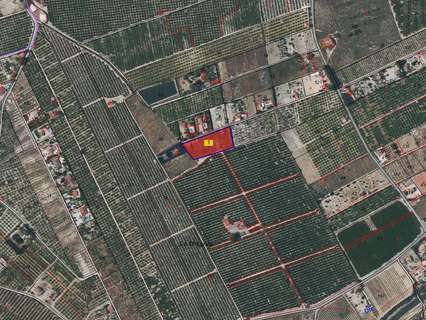 Parcela rústica en venta en Fortuna