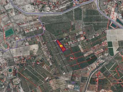 Parcela rústica en venta en Fortuna