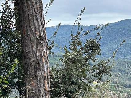 Parcela rústica en venta en Dosrius