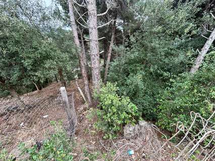 Parcela rústica en venta en Dosrius