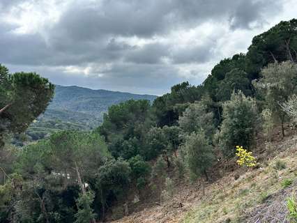 Parcela rústica en venta en Dosrius