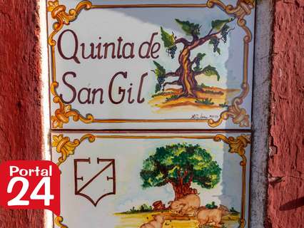 Parcela rústica en venta en Olivenza
