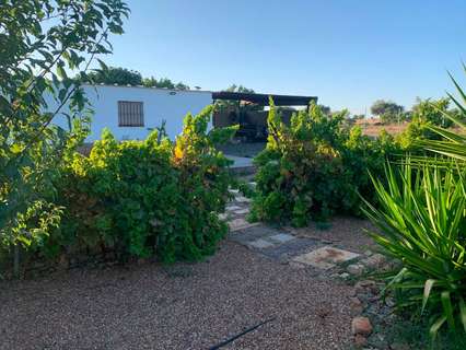 Parcela rústica en venta en Olivenza