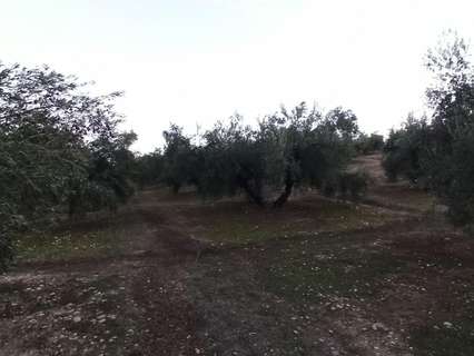 Parcela rústica en venta en Villatorres