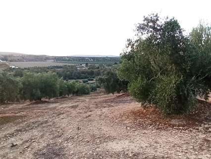 Parcela rústica en venta en Villatorres