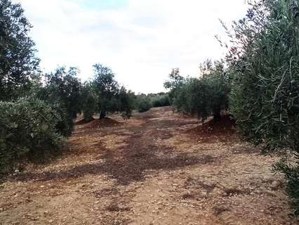 Parcela rústica en venta en Villatorres