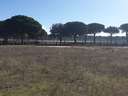 Parcela urbana en venta en Aldeamayor de San Martín rebajada