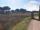 Parcela urbana en venta en Aldeamayor de San Martín rebajada