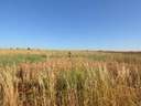 Parcela rústica en venta en Castellanos de Villiquera