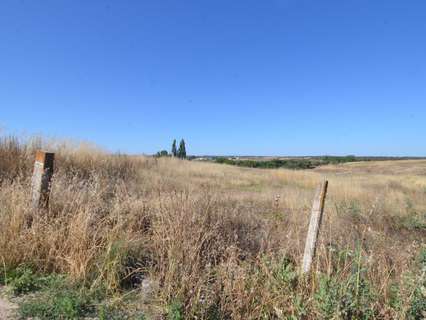 Parcela rústica en venta en Almenara de Tormes