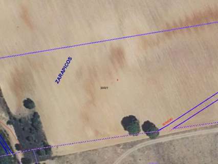Parcela rústica en venta en Zarapicos rebajada