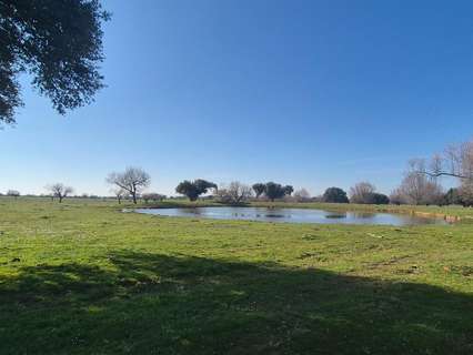 Parcela rústica en venta en Carrascal del Obispo