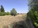 Parcela urbana en venta en Carrascal de Barregas
