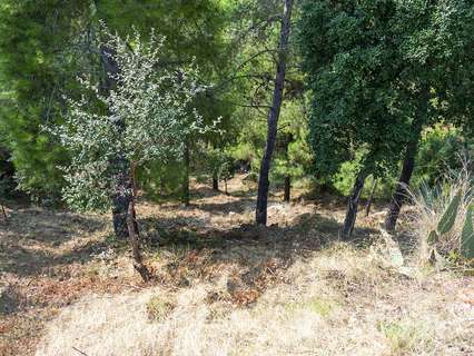 Parcela rústica en venta en Lloret de Mar