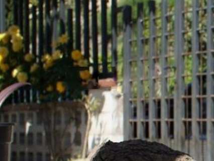 Casa en venta en Malgrat de Mar