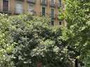 Apartamento en venta en Barcelona